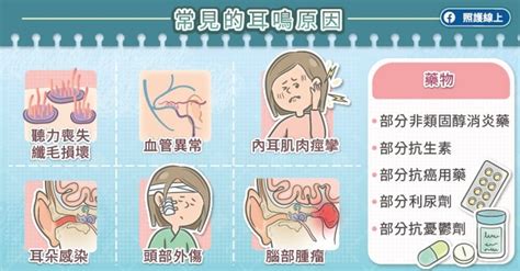 耳朵有聲音|耳鳴原因有3種，一直耳鳴怎麼辦？舒緩耳鳴症狀醫師。